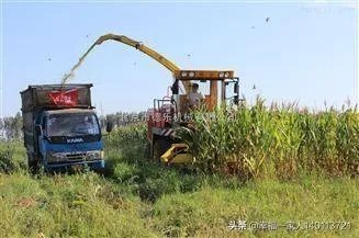 如果我想弄种植业或者养殖业，什么比较有前景？