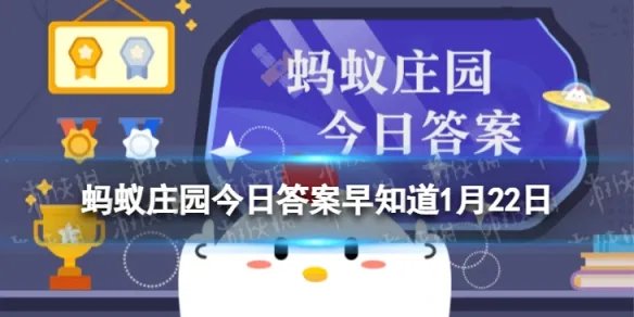 晨练后能睡回笼觉吗 蚂蚁庄园回笼觉答案最新