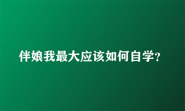 伴娘我最大应该如何自学？