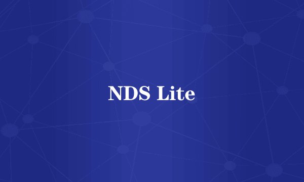 NDS Lite