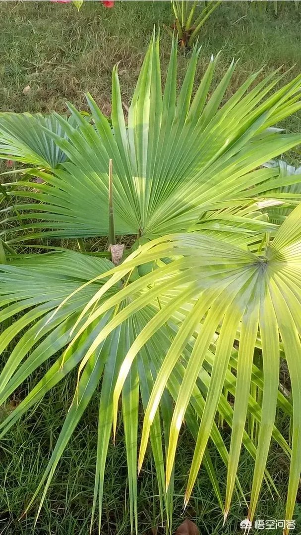 如何看待黄一鹤导演葬礼冷清的事实？