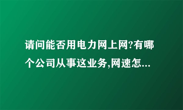 请问能否用电力网上网?有哪个公司从事这业务,网速怎么样,费用大约是多少