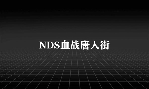 NDS血战唐人街