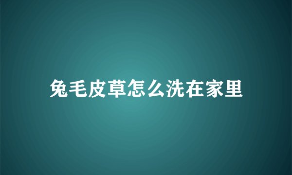 兔毛皮草怎么洗在家里