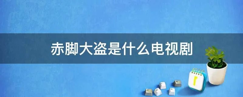 赤脚大盗是什么电视剧