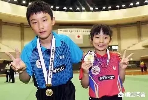 华裔兄妹虎视眈眈，欲来华参加乒超联赛，偷师学艺遭拒绝。你怎么看？