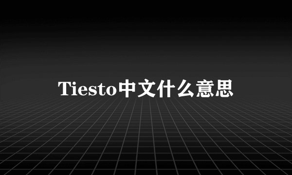 Tiesto中文什么意思