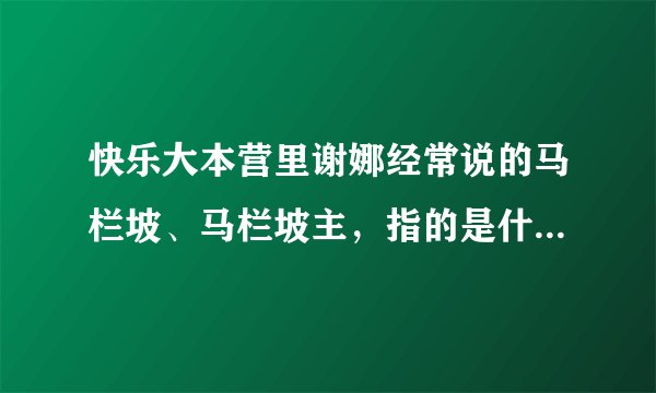 快乐大本营里谢娜经常说的马栏坡、马栏坡主，指的是什么意思？
