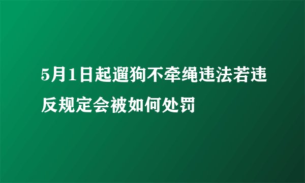 5月1日起遛狗不牵绳违法若违反规定会被如何处罚