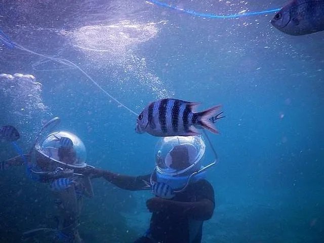 52岁中国游客泰国海底漫步溺亡事件，你怎么看？