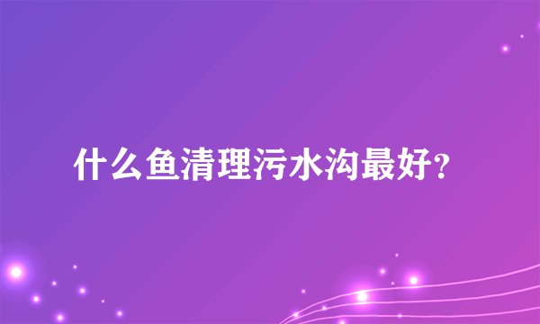 什么鱼清理污水沟最好？