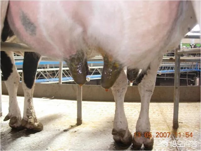 新妈妈如何正确的挤奶？