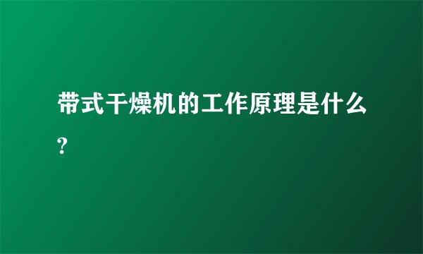 带式干燥机的工作原理是什么?