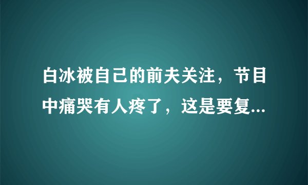 白冰被自己的前夫关注，节目中痛哭有人疼了，这是要复婚的节奏吗？