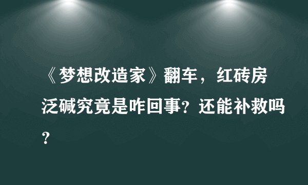 《梦想改造家》翻车，红砖房泛碱究竟是咋回事？还能补救吗？