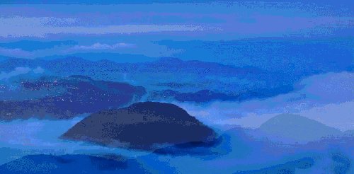 干货 | 庭院植物打造，营造十足空间感