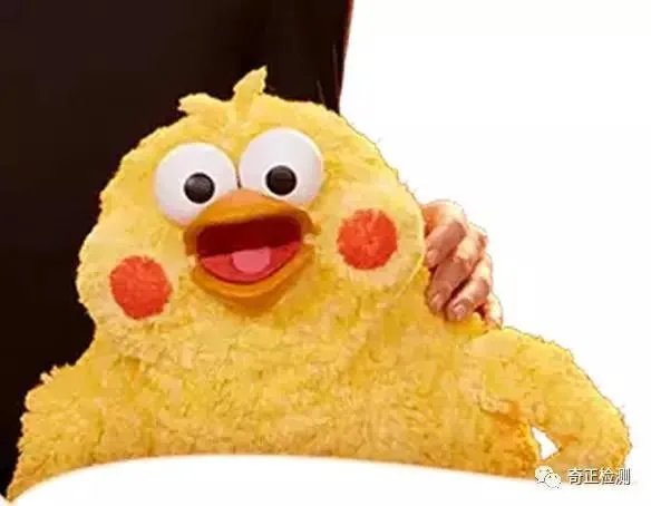 有个鸡的表情包那个鸡叫什么