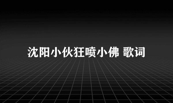 沈阳小伙狂喷小佛 歌词