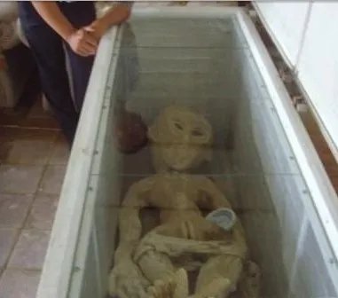 电死外星人系网友造假 网友调侃外星人是海参星人