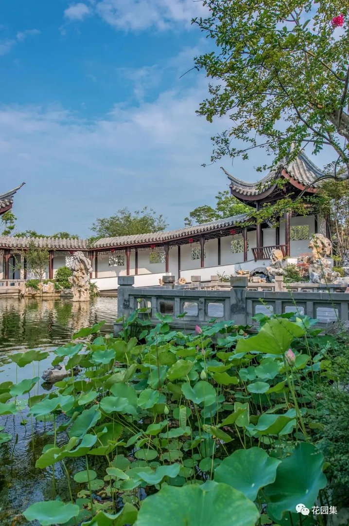 园集奖优秀作品 | 于中原之地再造一个苏式古典园林，百看不厌
