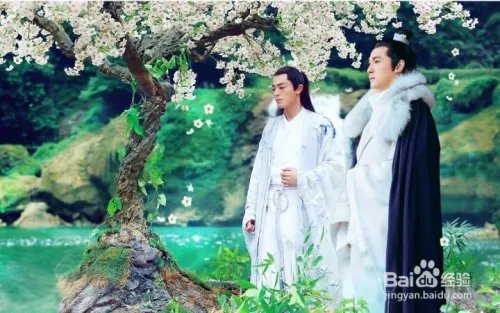 怎么看2016跨年演唱会直播