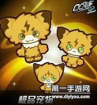 QQ飞车手游宠物大全排行 什么宠物技能最好