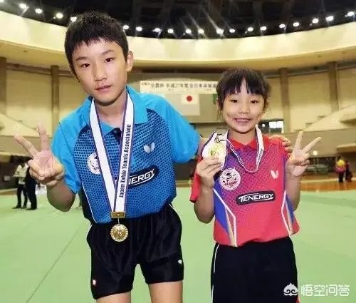 华裔兄妹虎视眈眈，欲来华参加乒超联赛，偷师学艺遭拒绝。你怎么看？