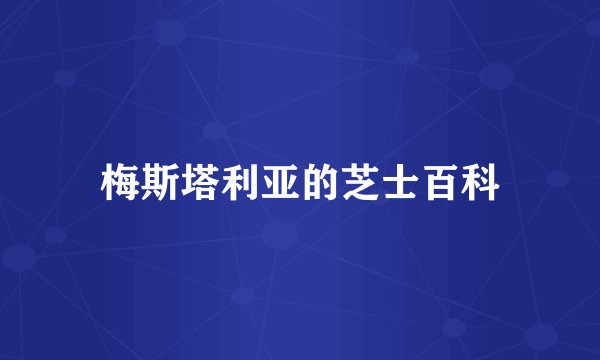 梅斯塔利亚的芝士百科