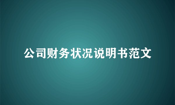 公司财务状况说明书范文