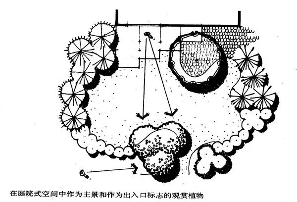 干货 | 庭院植物打造，营造十足空间感