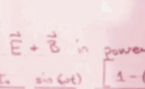 二年级数学上册期末试卷