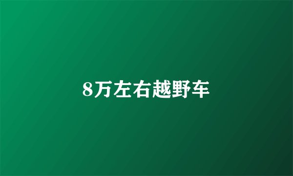 8万左右越野车