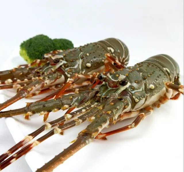 宁波的婚宴一般会准备些什么菜？