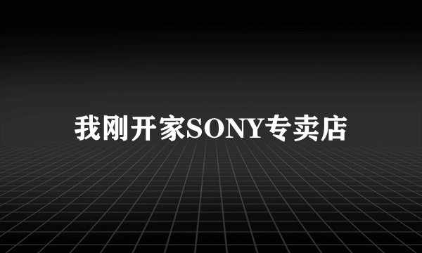 我刚开家SONY专卖店