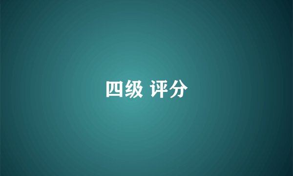 四级 评分