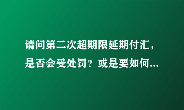 请问第二次超期限延期付汇，是否会受处罚？或是要如何处理第二次超期限延期付汇？