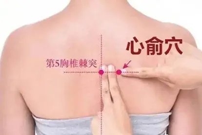 心俞的准确位置图作用
