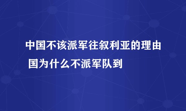中国不该派军往叙利亚的理由 国为什么不派军队到