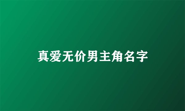 真爱无价男主角名字