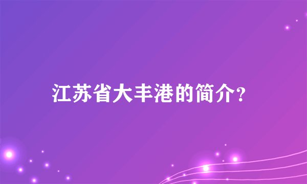 江苏省大丰港的简介？