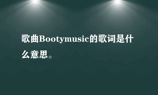 歌曲Bootymusic的歌词是什么意思。
