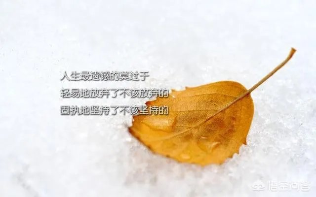 有哪些2018致自己的经典语录？