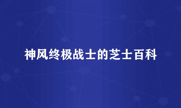 神风终极战士的芝士百科
