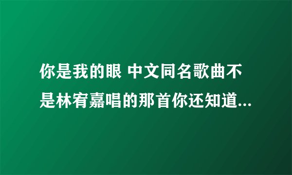 你是我的眼 中文同名歌曲不是林宥嘉唱的那首你还知道有别的吗？