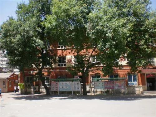 徐州市第三十五中学的师资力量