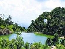 观音山有何景点？