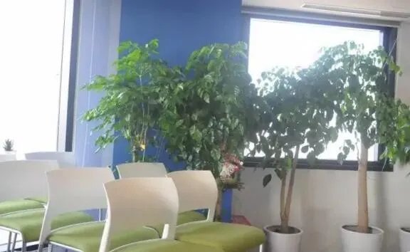 益涂入驻希尔顿酒店管理（上海）有限公司