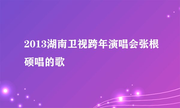 2013湖南卫视跨年演唱会张根硕唱的歌