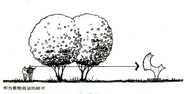 干货 | 庭院植物打造，营造十足空间感