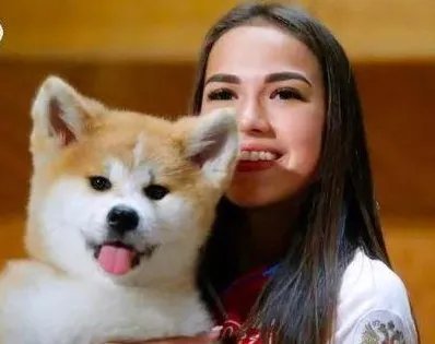 日本为何又送俄罗斯秋田犬？